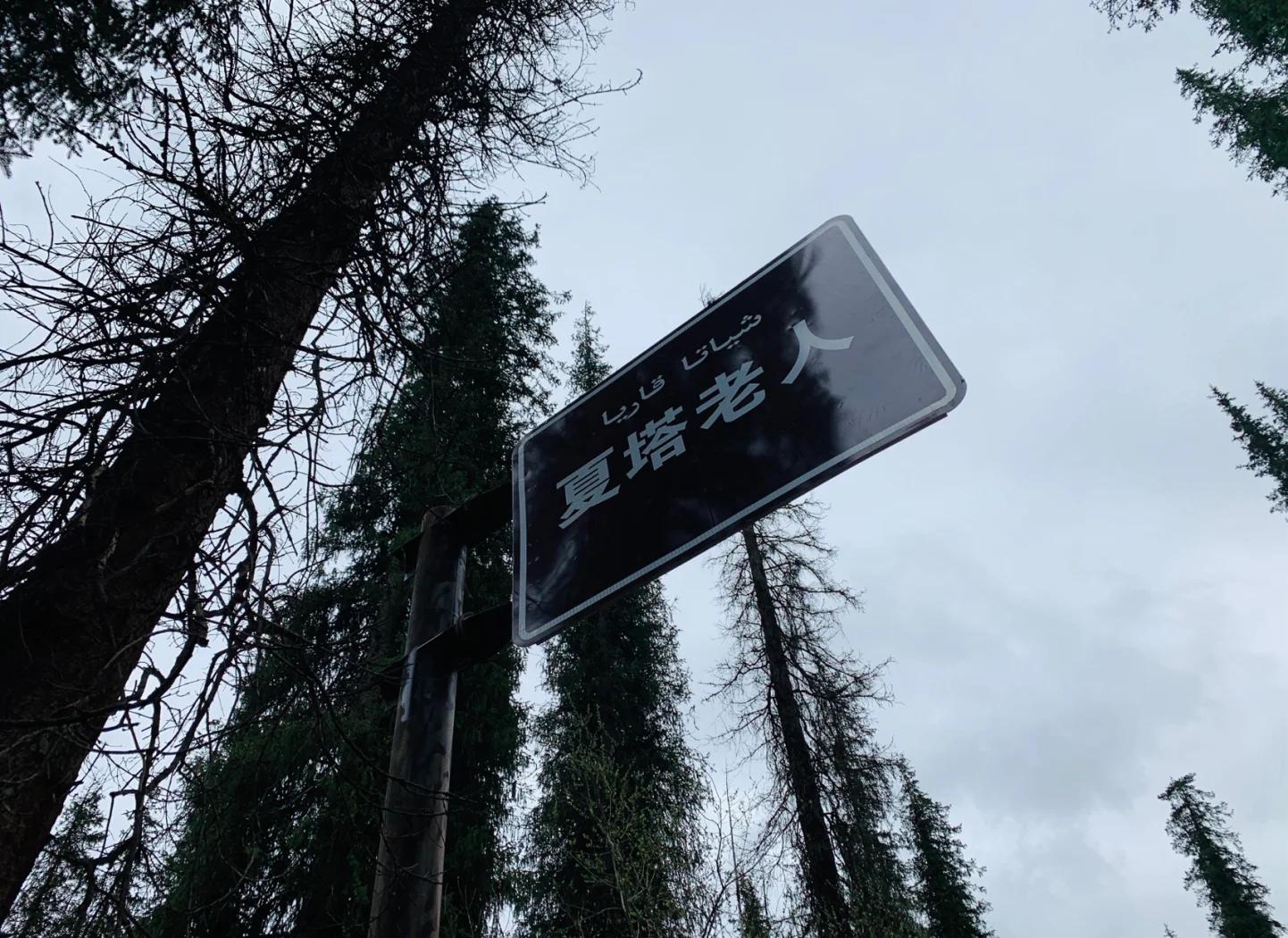 意外惊喜！一位新秀闪耀赛场取得进球
